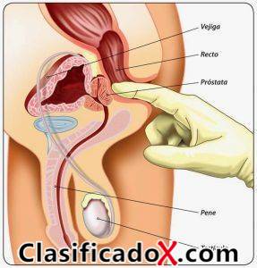 ClasificadoX - Anuncios clasificados relax y contenido erótico