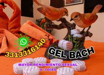 verdadero maaje  prostatico  1500  frecuencias  y gel bach   dura  mas