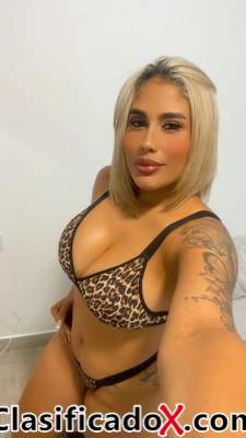 ClasificadoX - Anuncios clasificados relax y contenido erótico