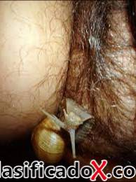 ClasificadoX - Anuncios clasificados relax y contenido erótico ClasificadoX - Anuncios clasificados relax y contenido erótico