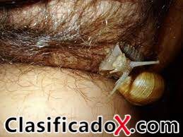 ClasificadoX - Anuncios clasificados relax y contenido erótico ClasificadoX - Anuncios clasificados relax y contenido erótico