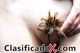 ClasificadoX - Anuncios clasificados relax y contenido erótico ClasificadoX - Anuncios clasificados relax y contenido erótico