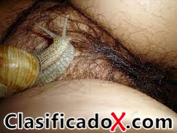 ClasificadoX - Anuncios clasificados relax y contenido erótico ClasificadoX - Anuncios clasificados relax y contenido erótico