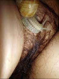 ROCIO ÚNICAMENTE BUSCO MAESTRO DE ZOOFILIA QUÉ ME PUEDA INICIAR CON LOS ANIMALES SEXUALMENTE POR WHATSAPP PRIMERO Y CON EL TIEMPO PUES YA VEREMOS!! PE ROCIO ÚNICAMENTE BUSCO MAESTRO DE ZOOFILIA QUÉ ME PUEDA INICIAR CON LOS ANIMALES SEXUALMENTE POR WHATSAPP PRIMERO Y CON EL TIEMPO PUES YA VEREMOS!! PE