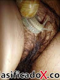 ROCIO ÚNICAMENTE BUSCO MAESTRO DE ZOOFILIA QUÉ ME PUEDA INICIAR CON LOS ANIMALES SEXUALMENTE POR WHATSAPP PRIMERO Y CON EL TIEMPO PUES YA VEREMOS!! PE