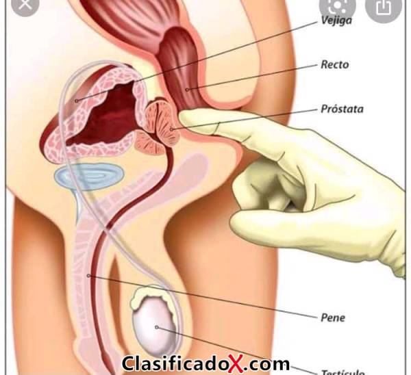 ClasificadoX - Anuncios clasificados relax y contenido erótico