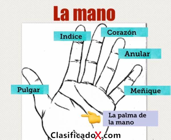ClasificadoX - Anuncios clasificados relax y contenido erótico