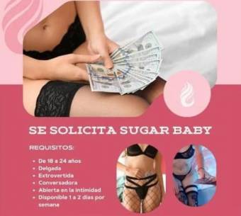Te Ofrecemos Excelente Ambiente de trabajo