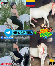 ZOOFILIA PUTA RUBIA FOLLADA POR PERROS Y CABALLOS/ PORNO ZOO TELEGRAM VENTA