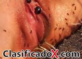 ClasificadoX - Anuncios clasificados relax y contenido erótico