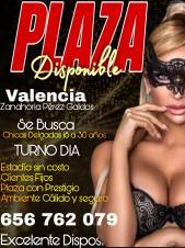 SE PRECISA ESCORT MASAJSTA TURNO DIA SIN ALOJAMIENTO
