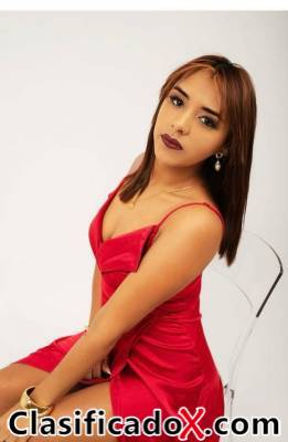 ClasificadoX - Anuncios clasificados relax y contenido erótico