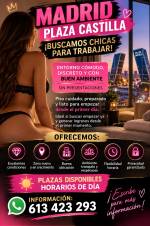 PLAZA DISPONIBLE EN MADRID CASTILLA