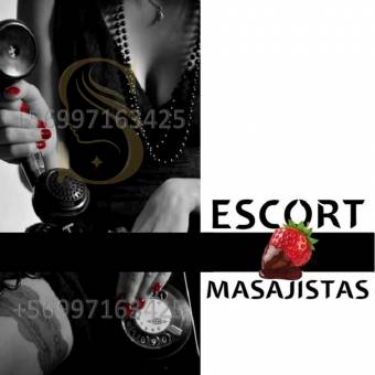 AGENCIA PRIVADO / NECESITA SEÑORITAS / +56997163425
