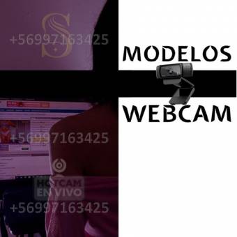 UNICO ESTUDIO MODELOS WEBCAM EN CHILE NECESITA SEÑORITAS | +56997163425