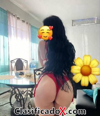 ClasificadoX - Anuncios clasificados relax y contenido erótico