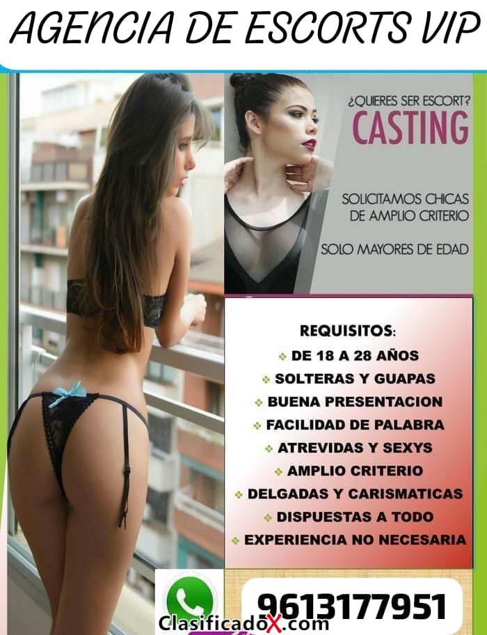 SOLICITAMOS CHICAS PARA ESCORT EN VERACRUZ URGENTE