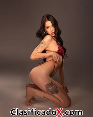 ClasificadoX - Anuncios clasificados relax y contenido erótico