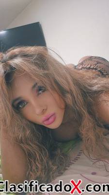 ClasificadoX - Anuncios clasificados relax y contenido erótico