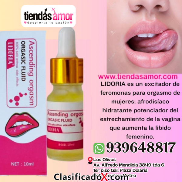 ClasificadoX - Anuncios clasificados relax y contenido erótico