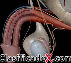 ClasificadoX - Anuncios clasificados relax y contenido erótico