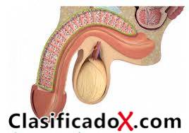 ClasificadoX - Anuncios clasificados relax y contenido erótico