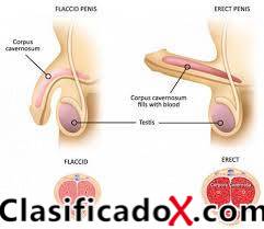 ClasificadoX - Anuncios clasificados relax y contenido erótico