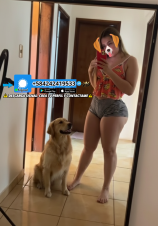 ZOOFILIA REAL PORNO VIRTUAL VENTA/ CAMSEX/ VENTA DE CONTENIDO ZOO PORNO REAL