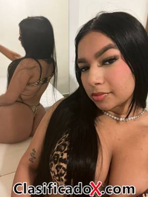 ClasificadoX - Anuncios clasificados relax y contenido erótico