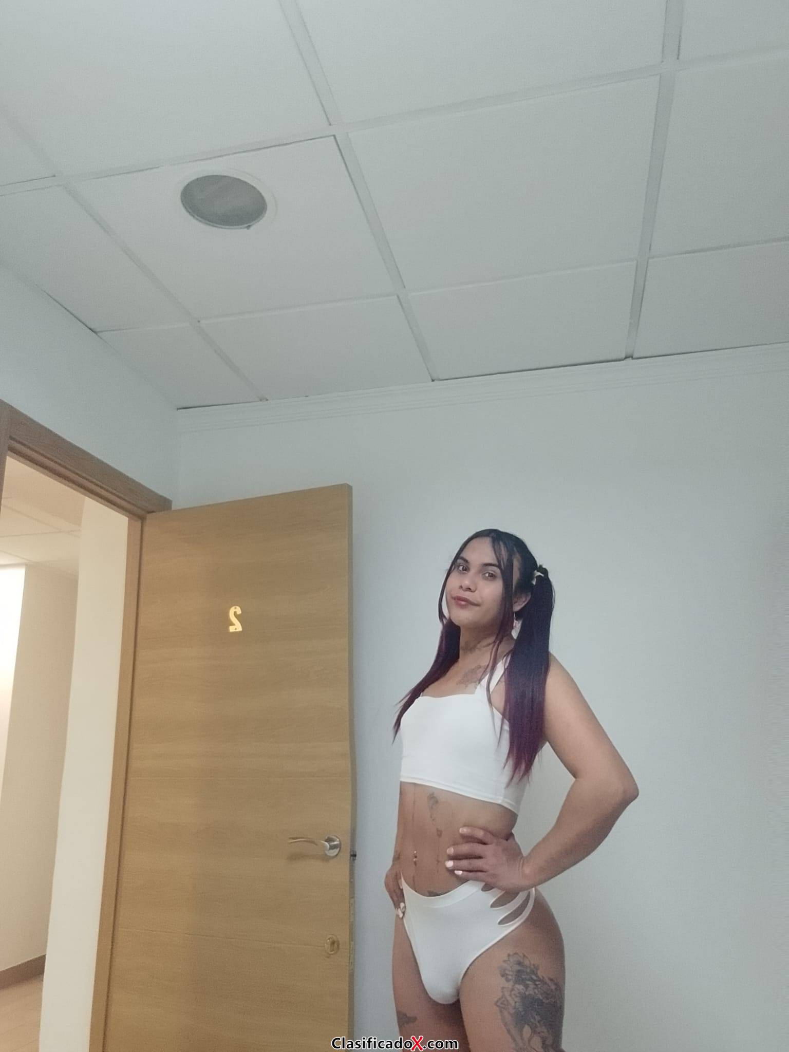 ZAFIRO TRANS DIOSA LINDA LATINA VEN DESCUBRELO