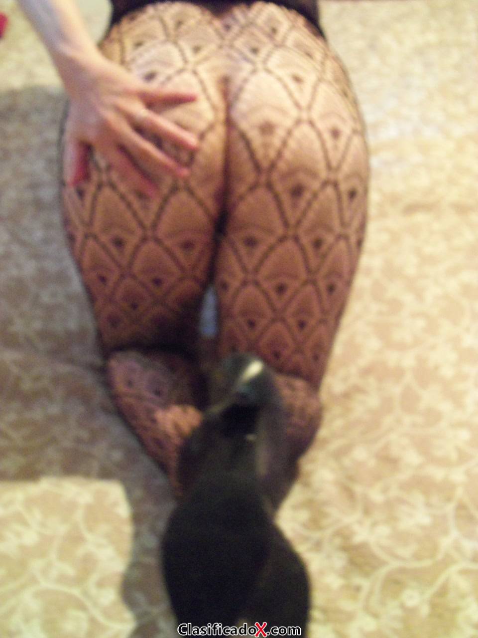 sexo servidora   trato  independiente   hotel u  motel  1800  una  hora