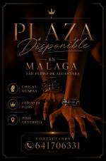EN  SAN PEDRO DE ALCANTARA  PLAZA DISPONIBILIDAD INMEDIATA