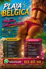 PLAZA DISPONIBLE EN BELGICA