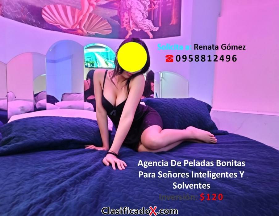 Peladitas Cuidadosamente Elegidas Para Gustos Verdaderamente Exigentes