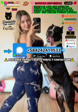☑️PORNO ZOOFILIA SEXUAL ONLINE CHICA SEXO CON ANIMAL/ VIRTUAL ZOOFILIA SEXUAL REAL DOGSEX