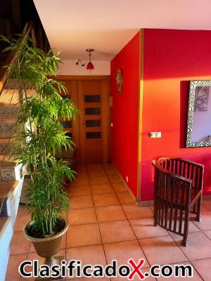 ClasificadoX - Anuncios clasificados relax y contenido erótico
