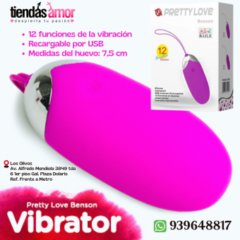 Huevo Vibrador Usb Pretty Love Benson 12 Velocidades