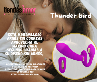 Vibrador femenino Thunderbird con doble estimulador del punto G