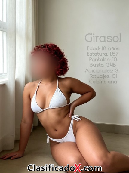 ClasificadoX - Anuncios clasificados relax y contenido erótico