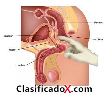 ClasificadoX - Anuncios clasificados relax y contenido erótico