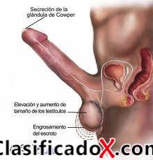 ClasificadoX - Anuncios clasificados relax y contenido erótico