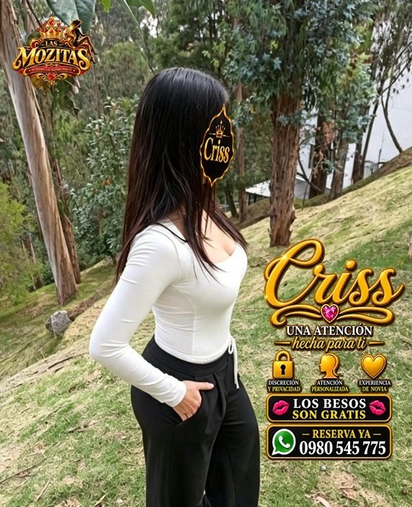 mozitasec@yahoo.com 